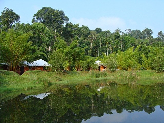 Coorg is a paradise for Nature lovers Know About It !