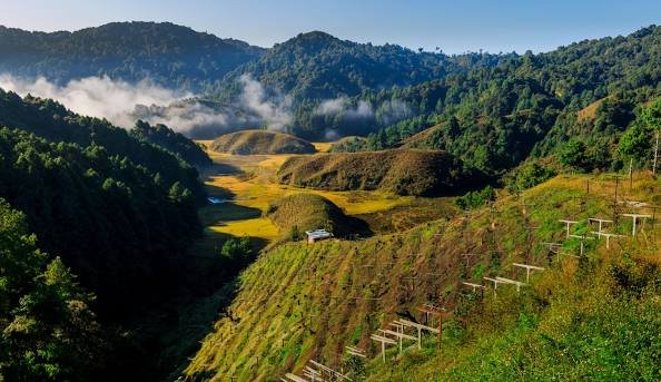 Unveiling Ziro: A Tranquil Haven in Arunachal Pradesh