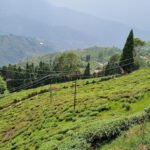 Darjeeling: Unveiling the Himalayan Beauty