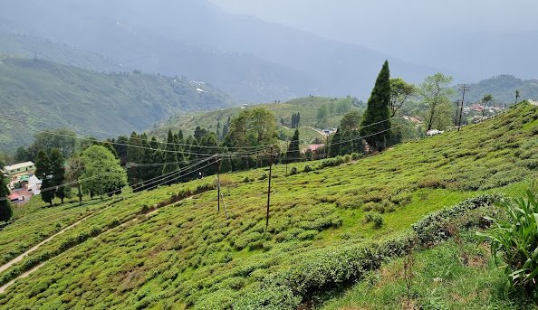 Darjeeling: Unveiling the Himalayan Beauty